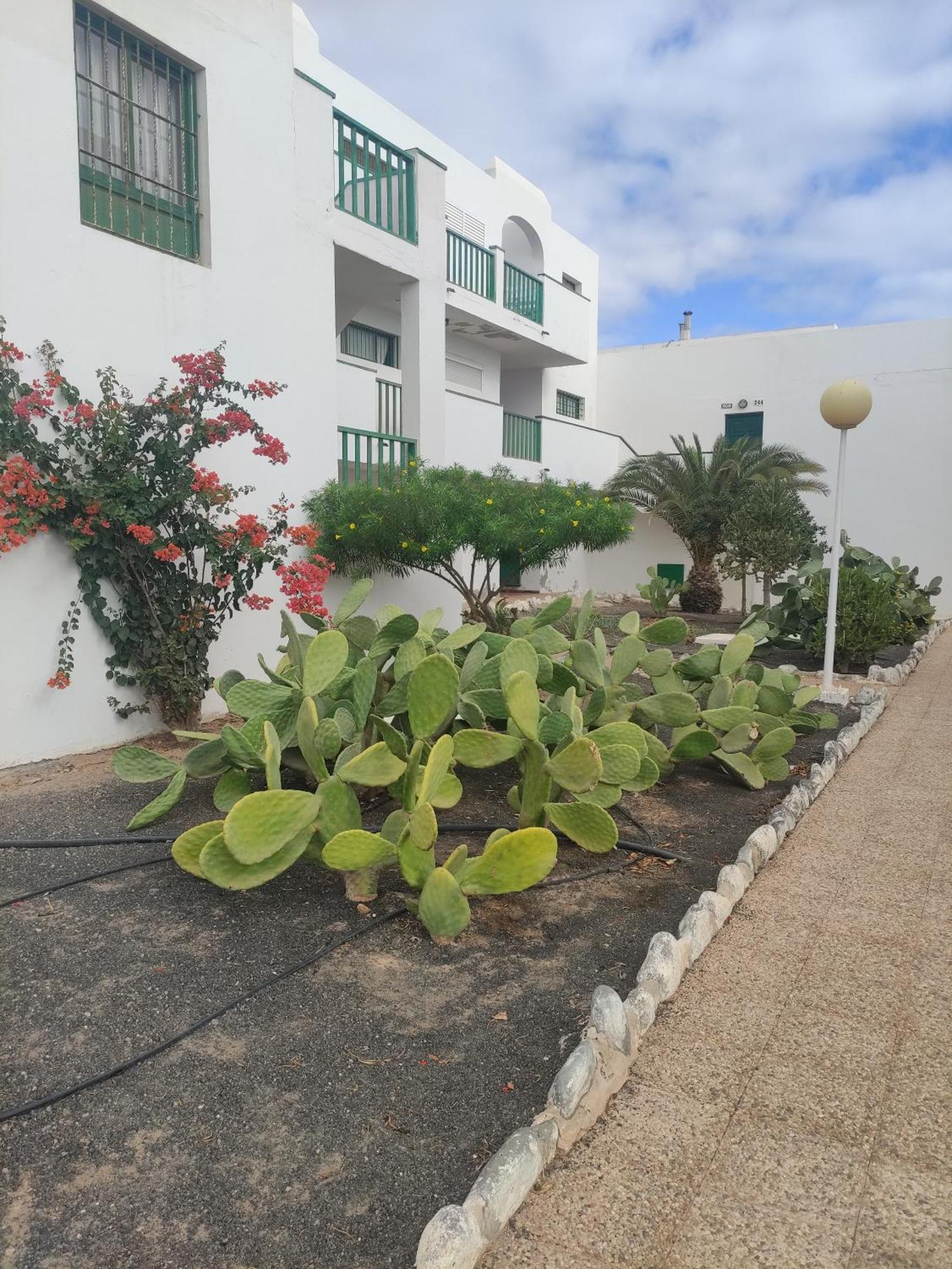 דירות קוסטה דה אנטיגואה Casita Perla Blanca מראה חיצוני תמונה