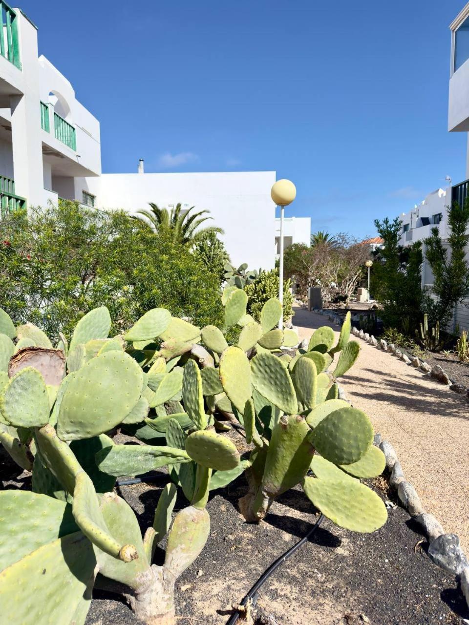 דירות קוסטה דה אנטיגואה Casita Perla Blanca מראה חיצוני תמונה
